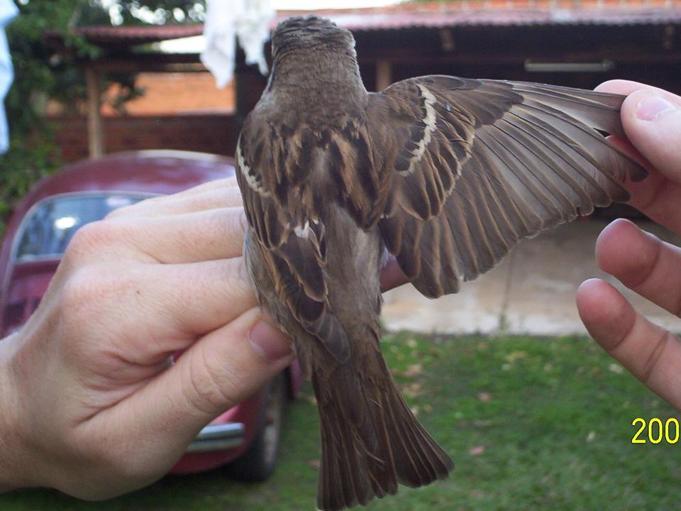 FIGURE 9 FIGURE 9